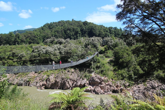 Hängebrücke am Buller River