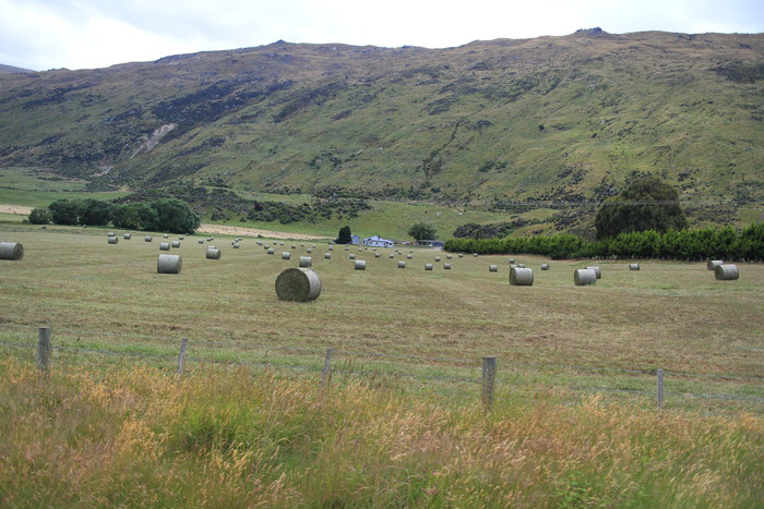 Blick aus dem Fenster in Southland