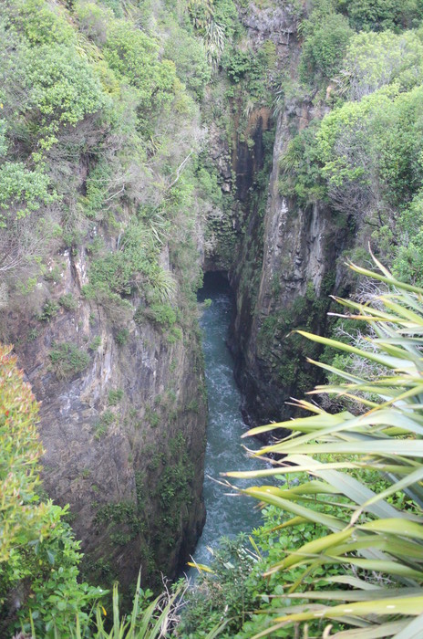 Blick in Jack's Blowhole