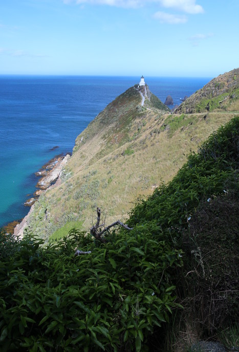 Weg zum Leuchtturm von Nugget Point
