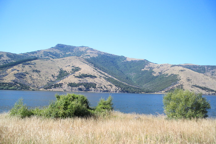 Banks Peninsula bei Akaroa