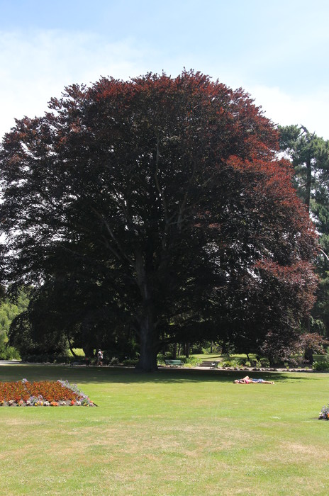 Blick in den botanischen Garten