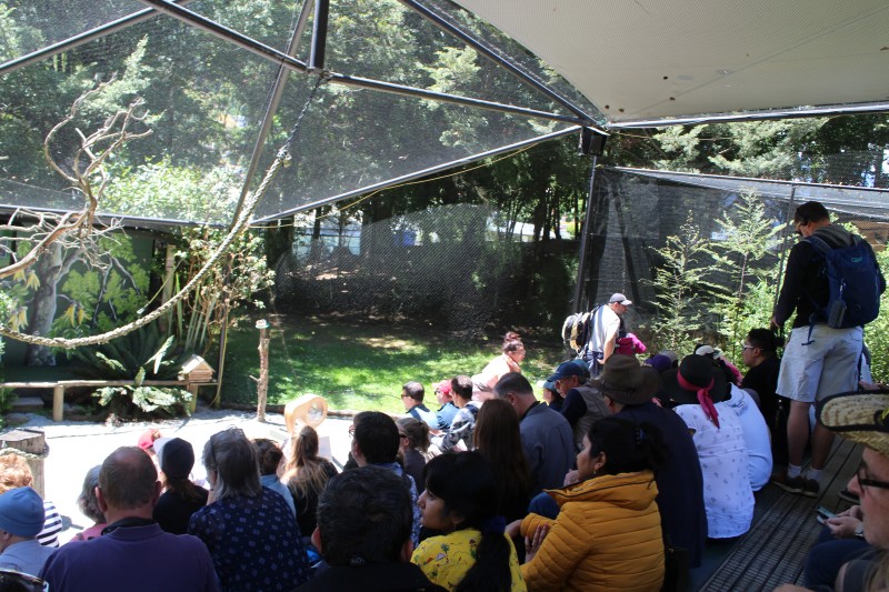 20190104 Conservation Show