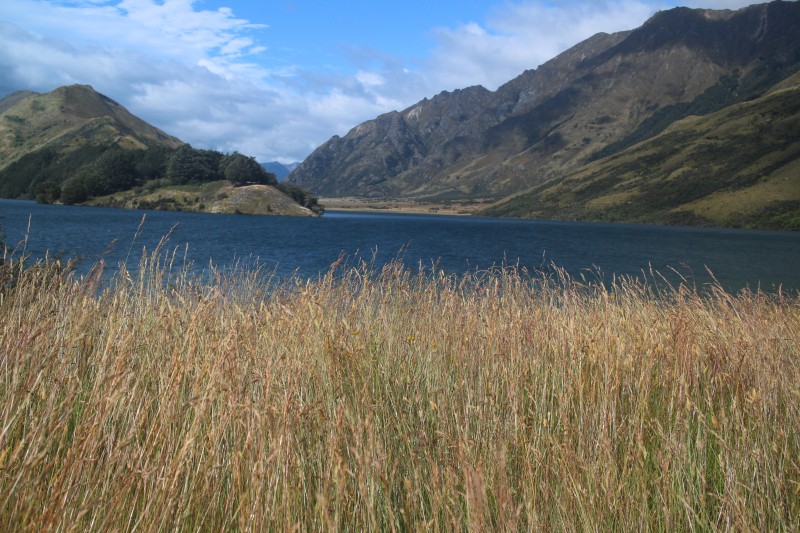 20190105 Moke Lake Wandern