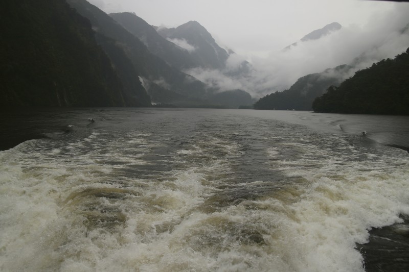 20190106 Doubtful Sound 2