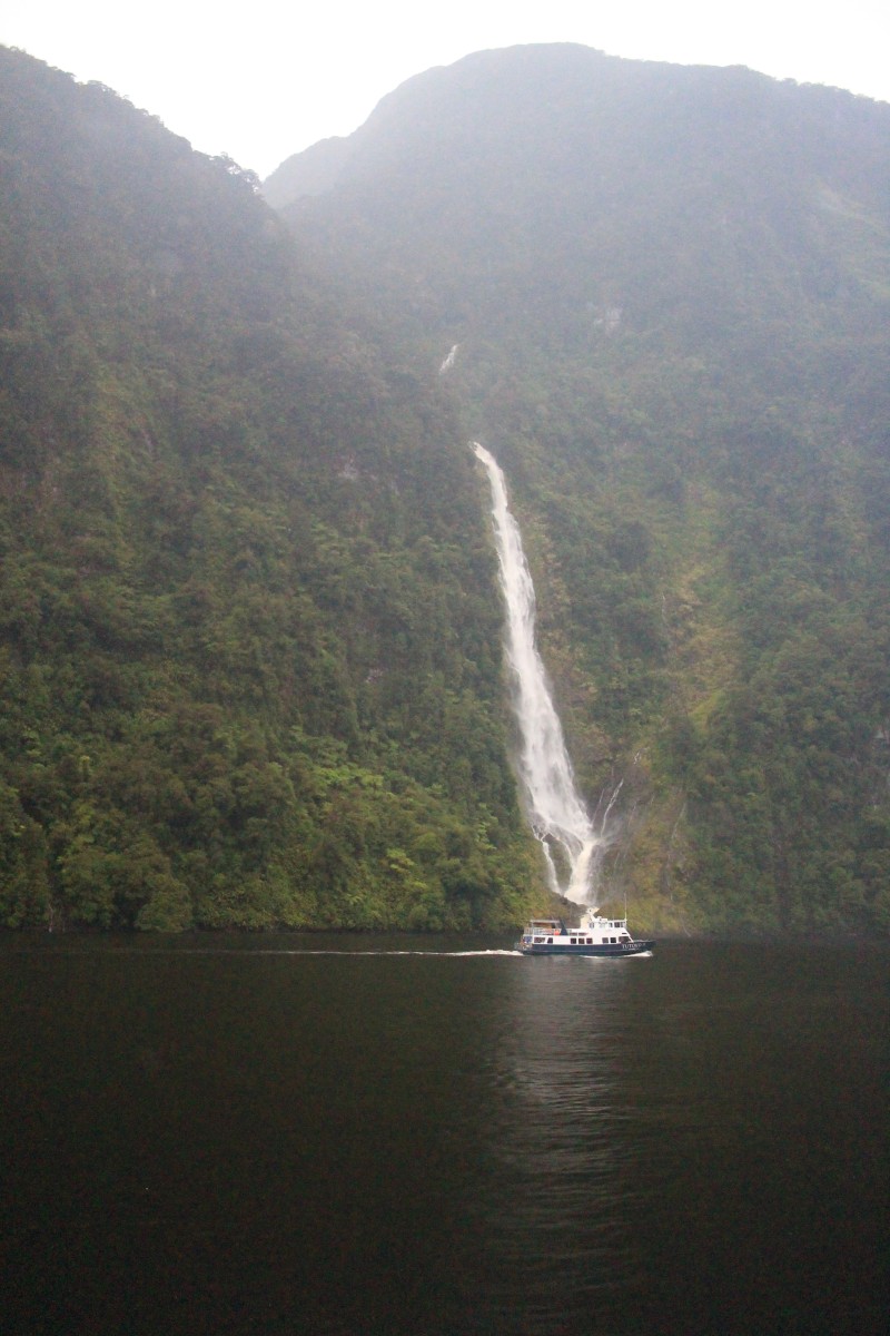 20190106 Doubtful Sound 3