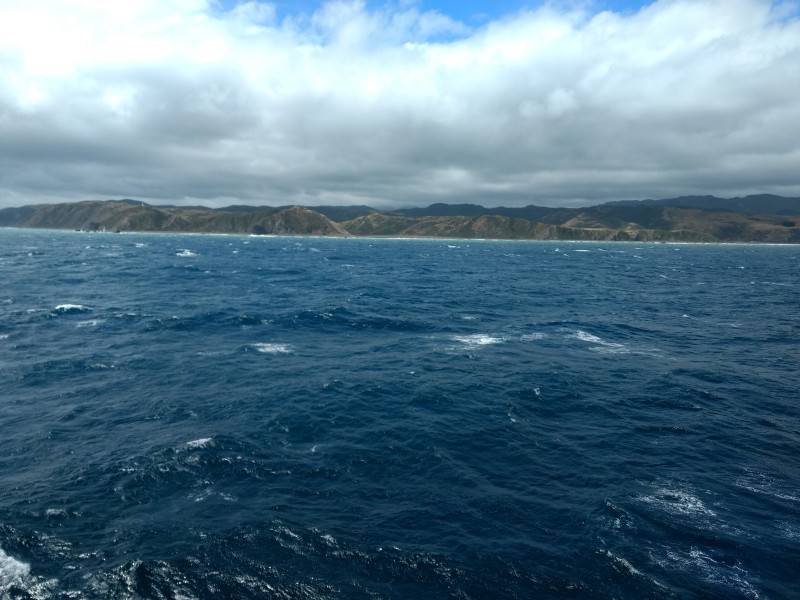 20190114 Interislander Fahrt