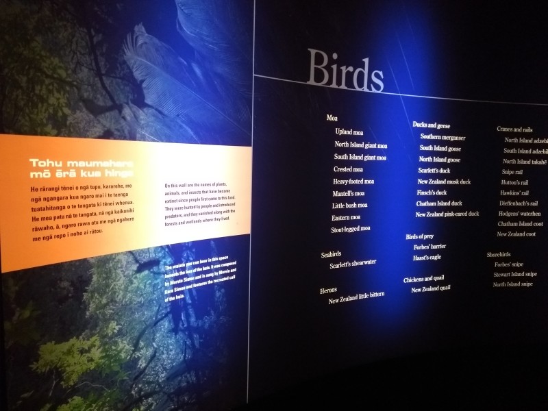 20190115 Wellington Te Papa Ausrottung