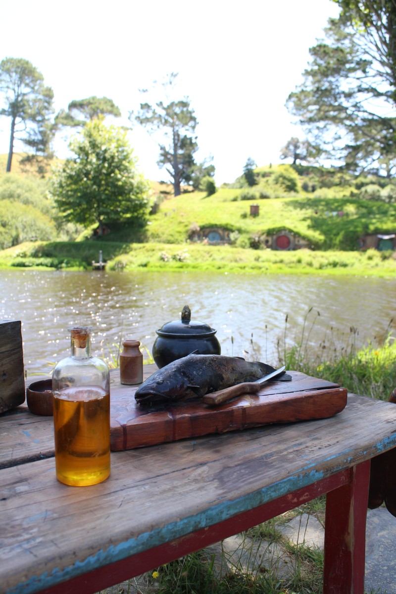 20190120 Hobbiton letzter Blick