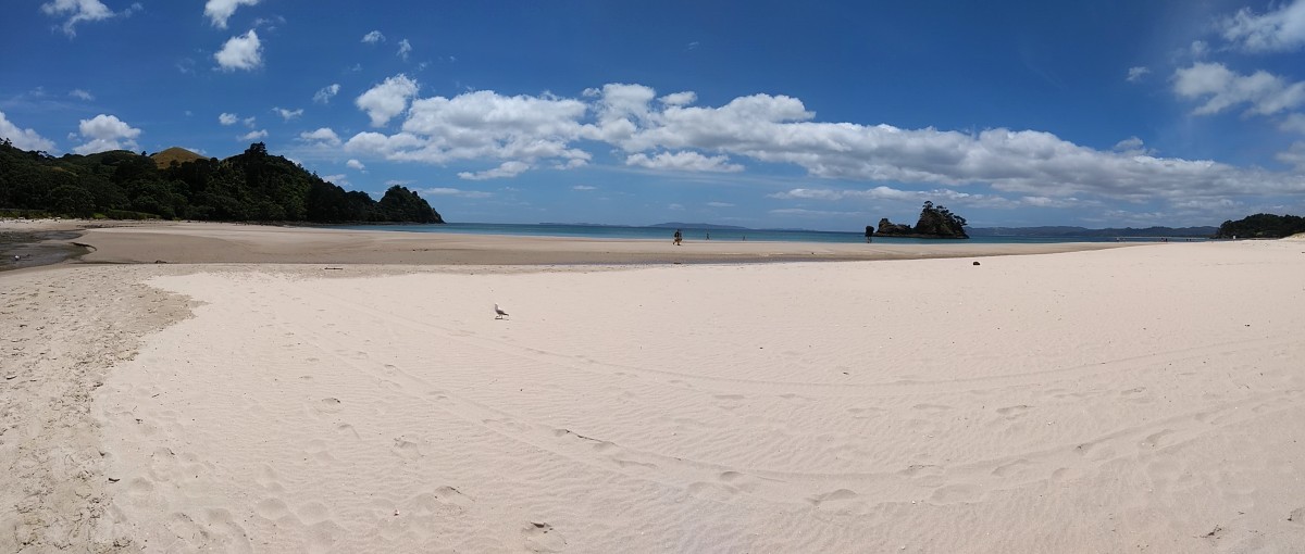20190121 Coromandel New Chum Beach Vorher