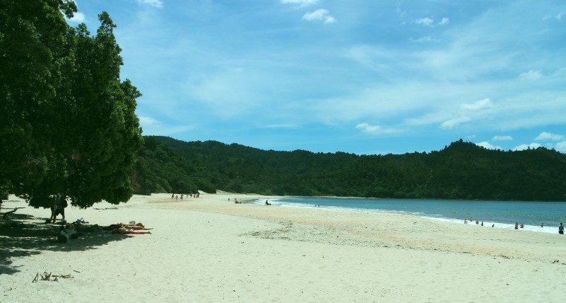 20190121 Coromandel New Chum Beach