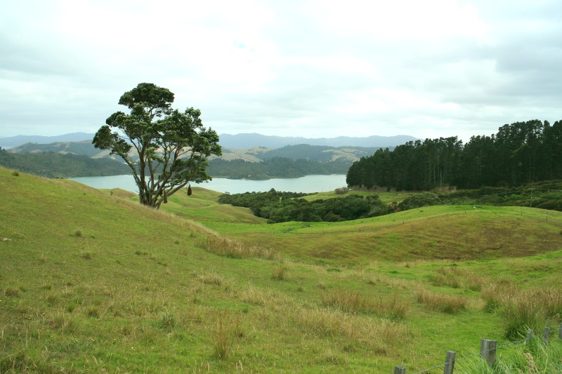 20190121 Coromandel